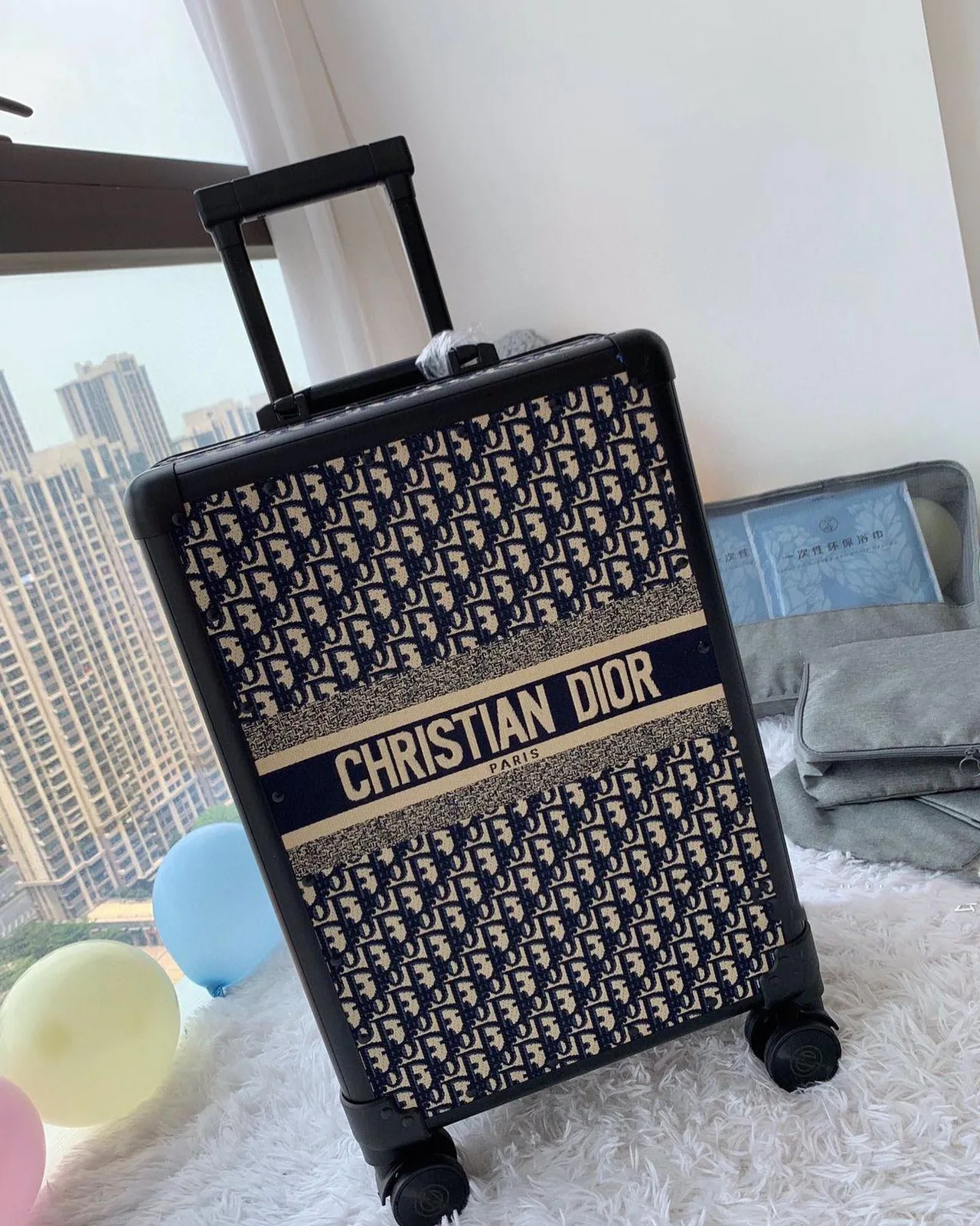 Dior Luggage Suitcase