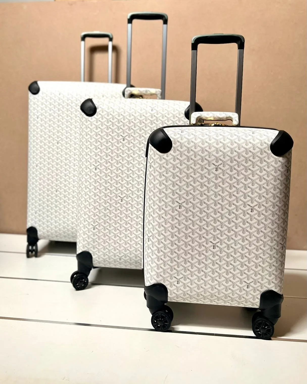 Goyard Bourget Trolley photo 3