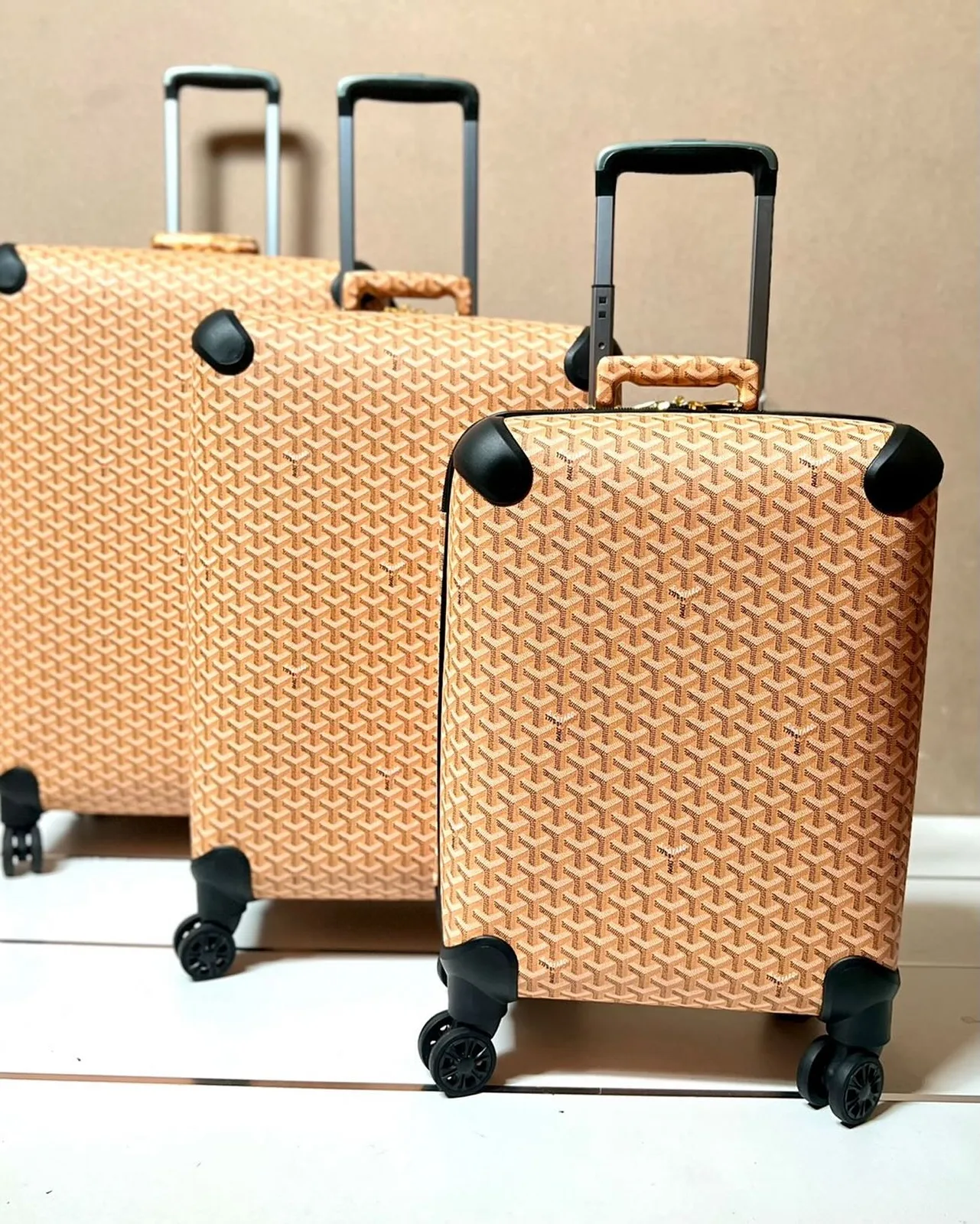 Goyard Bourget Trolley