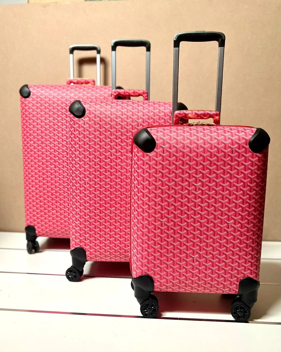 Goyard Bourget Trolley photo 5
