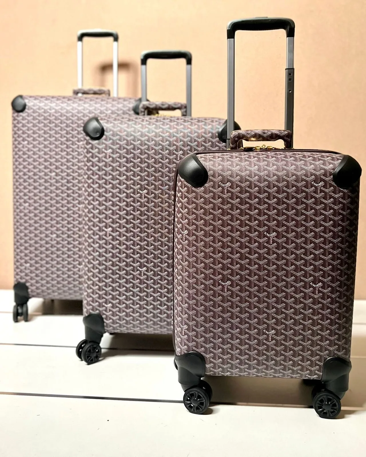 Goyard Bourget Trolley photo 4