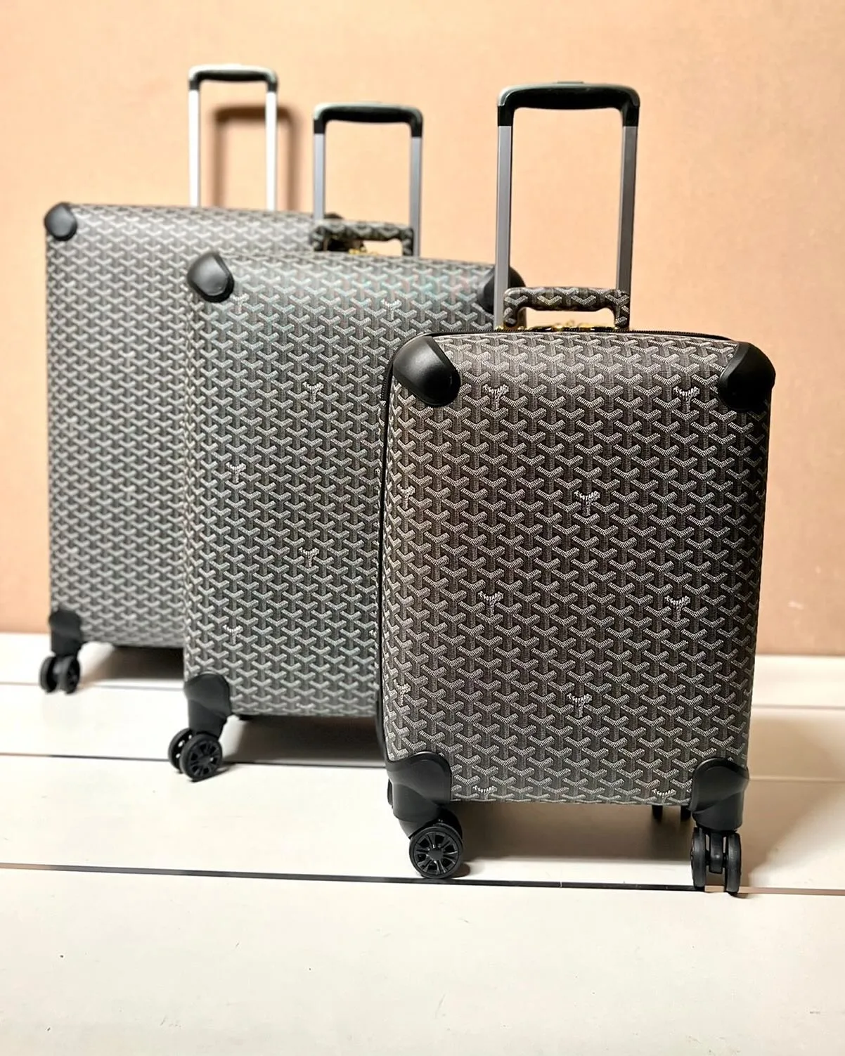 Goyard Bourget Trolley photo 2