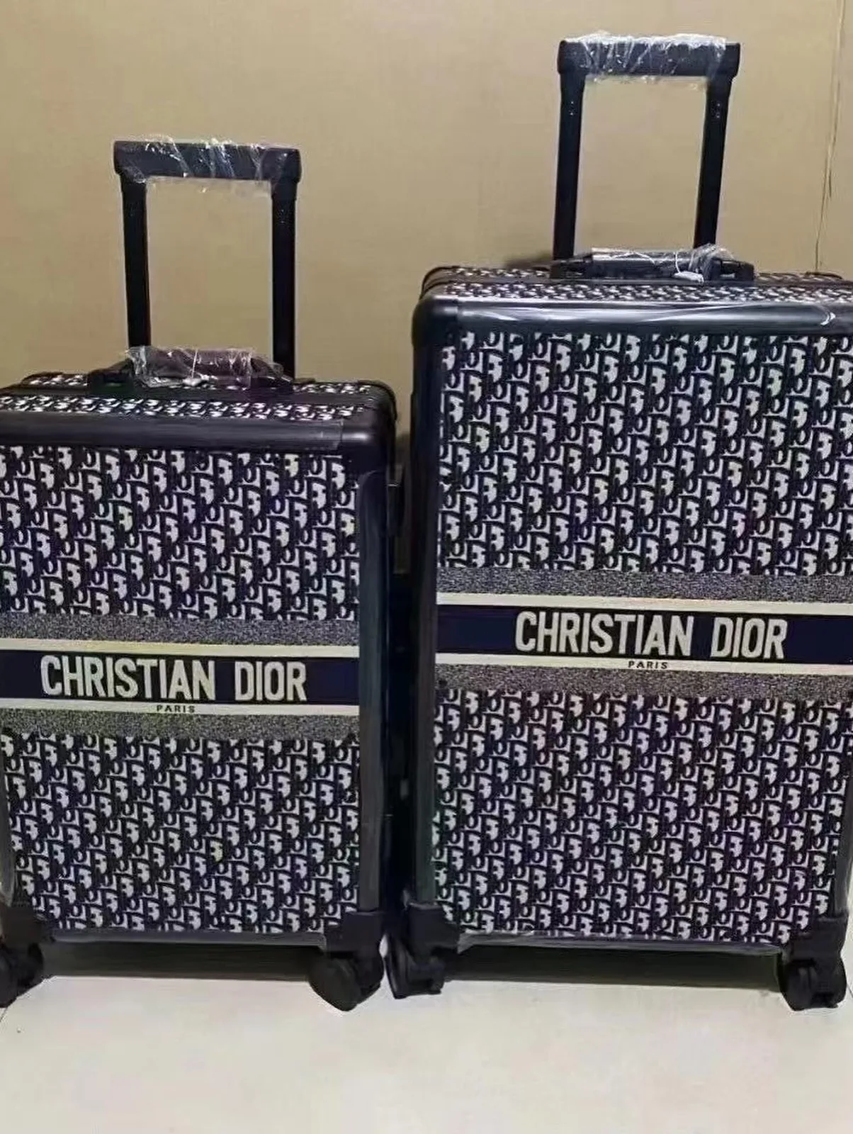 Dior Oblique Hard-Shell Luggage