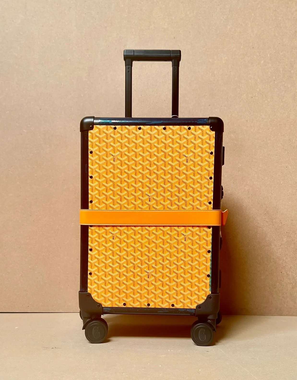 Goyard Hardshell Trolley Luggage photo 4