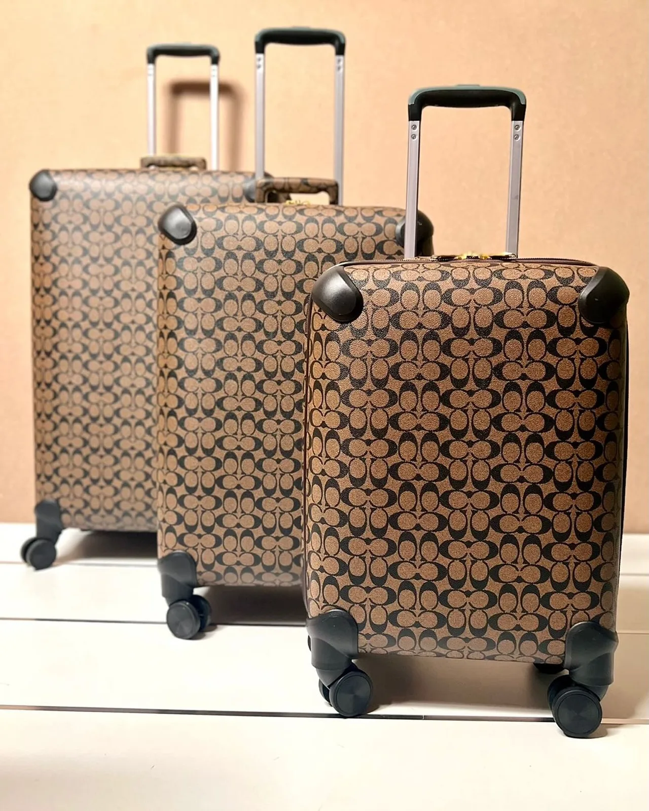 Louis Vuitton Luggage photo 2
