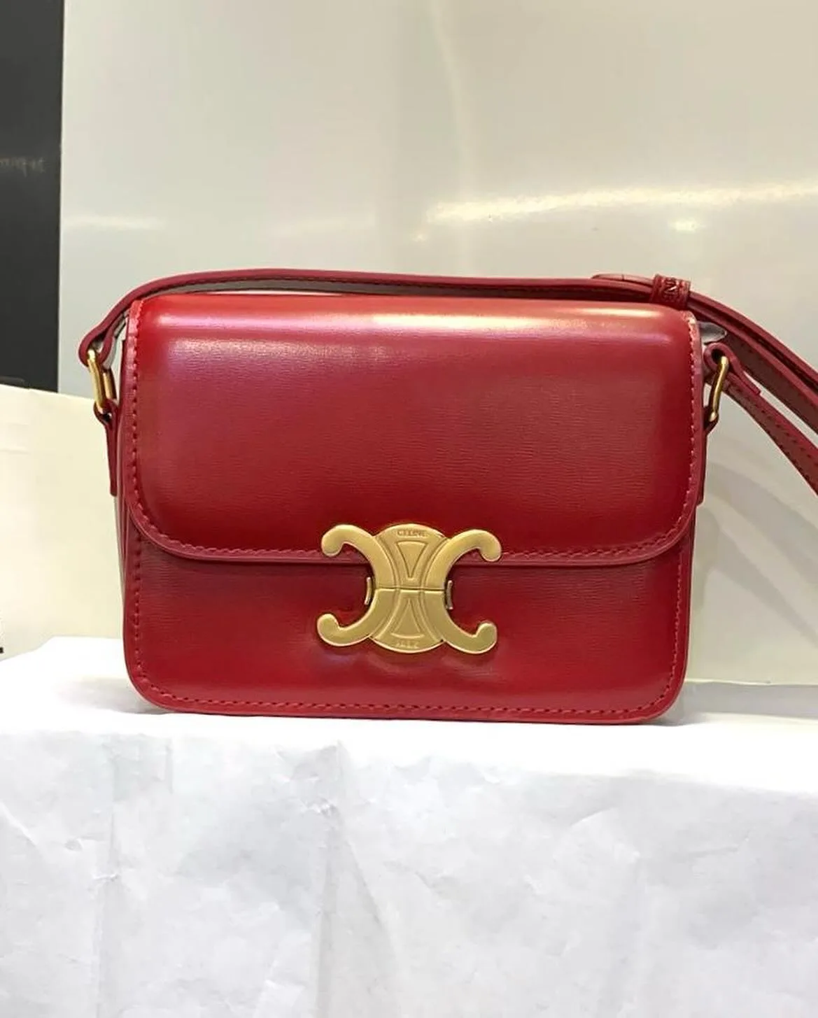 Celine Triomphe photo 2