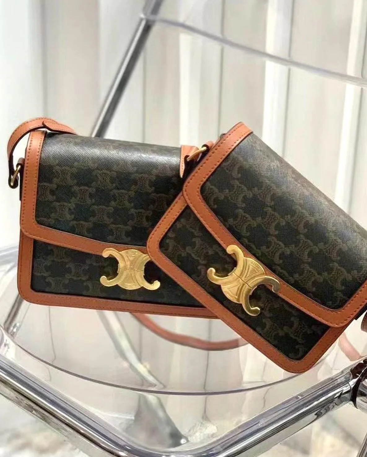 Celine Triomphe photo 4
