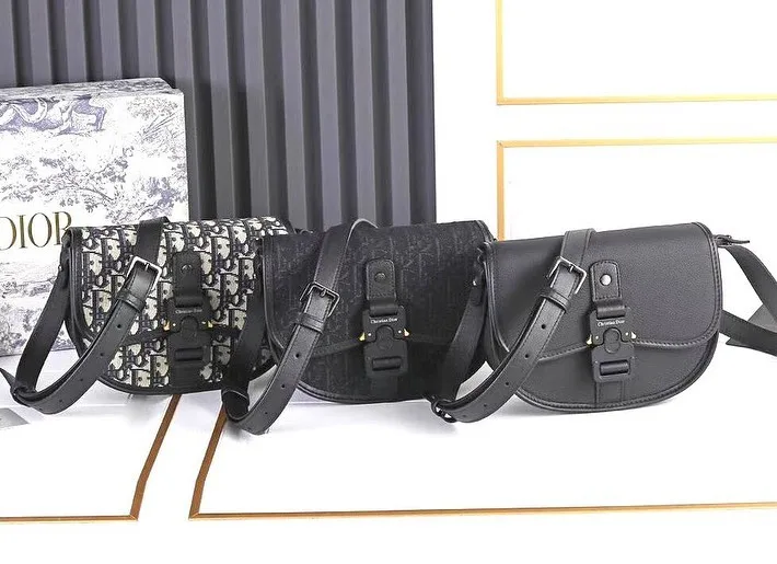 Dior camera bag Oblique crossbody