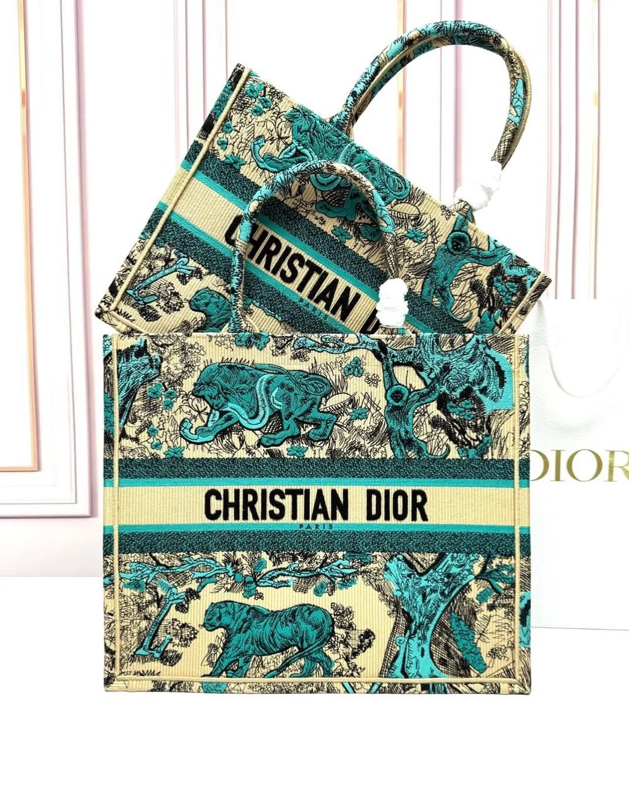 Dior Book Tote