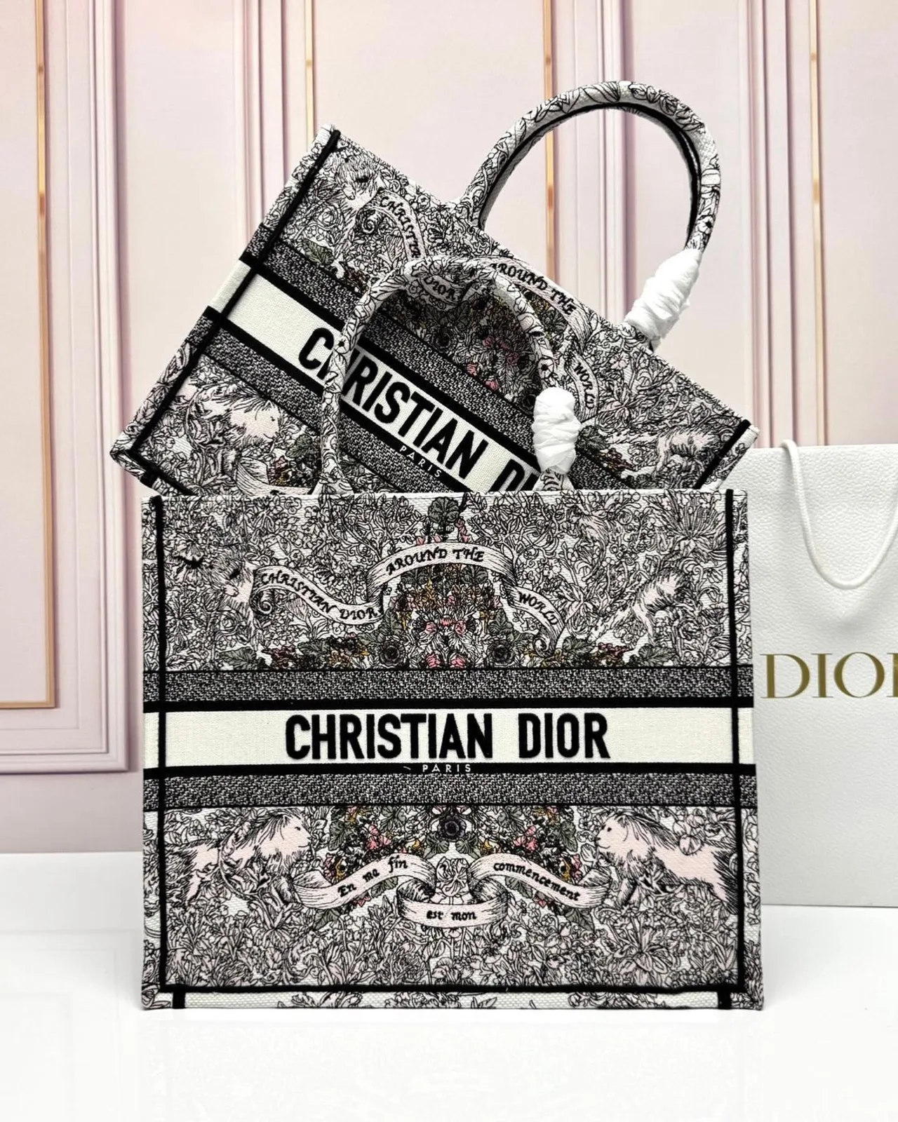 Dior Book Tote photo 4