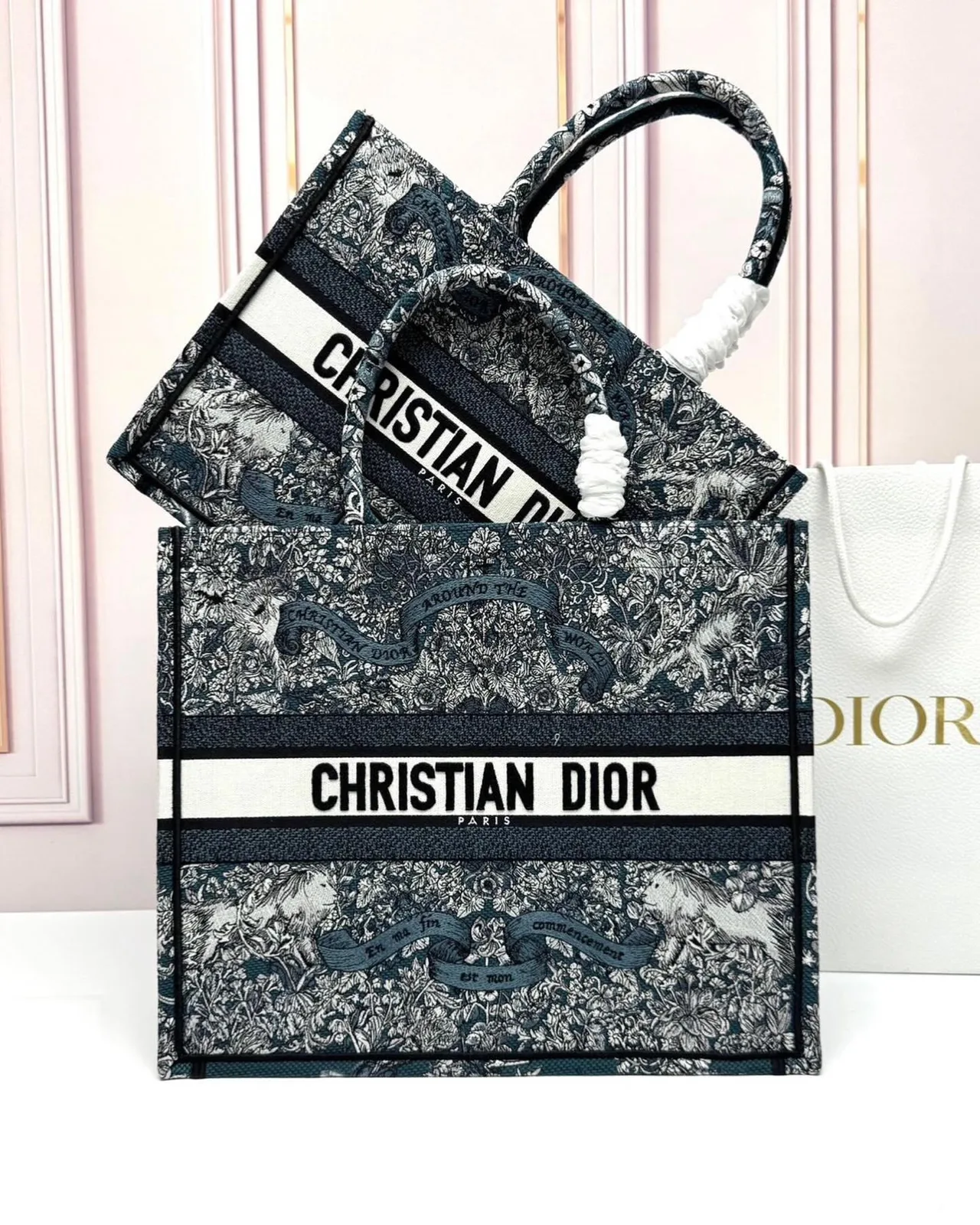 Dior Book Tote photo 5