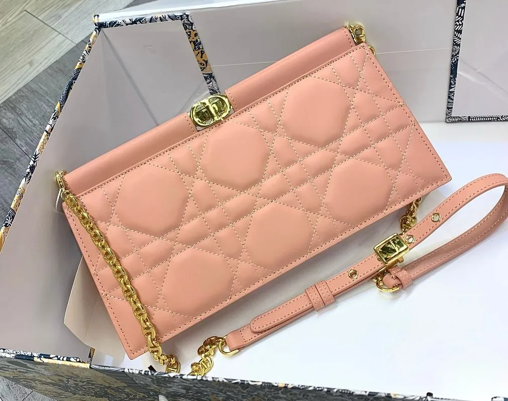 Dior Chain Wallet Clutch