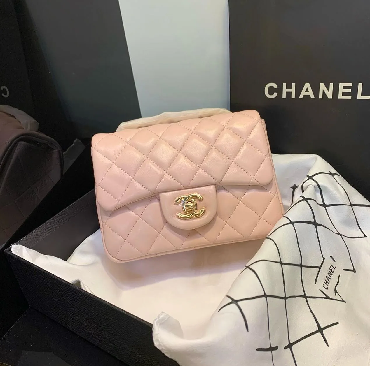 Chanel Classic Flap Bag photo 14