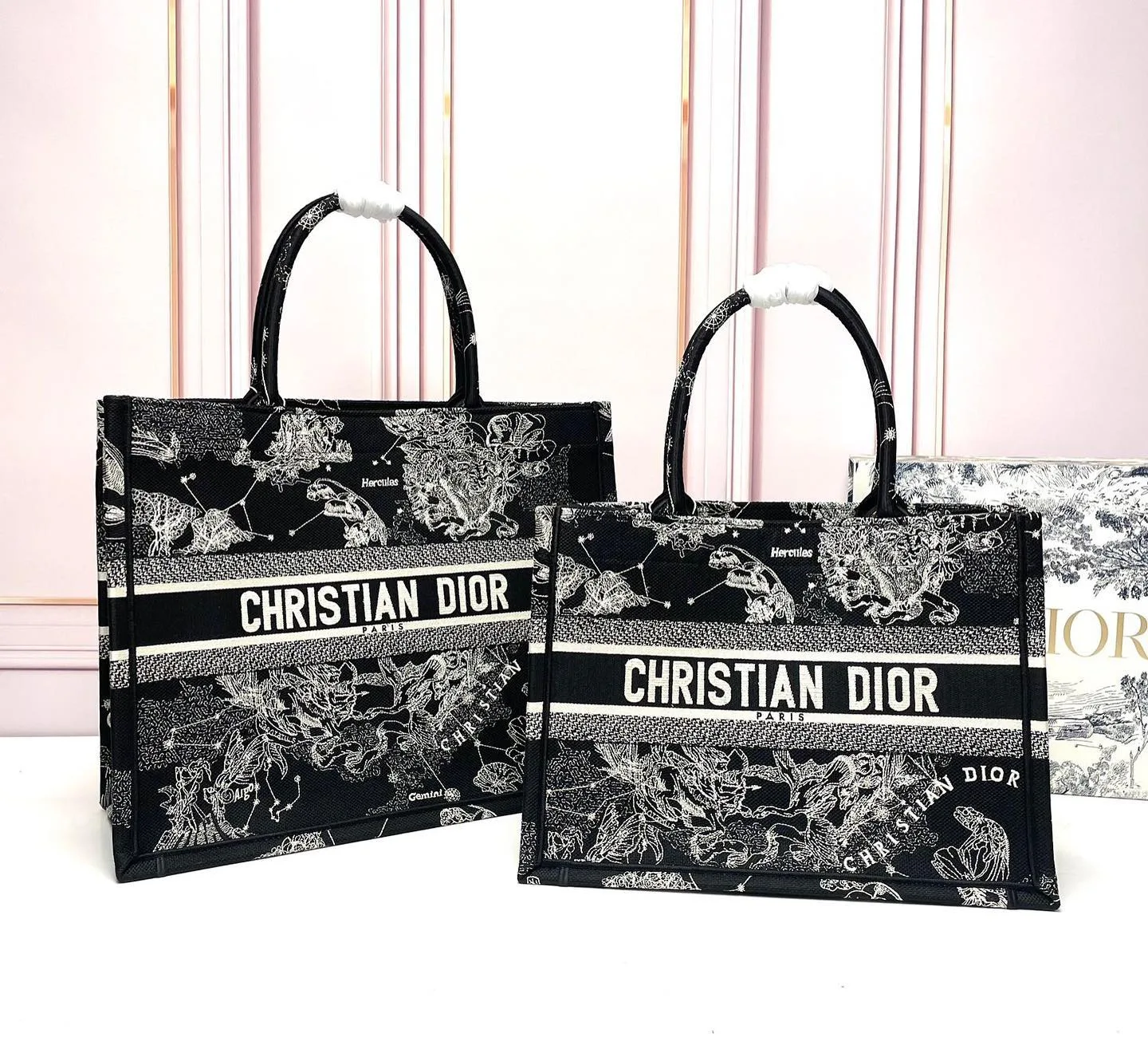 Dior Book Tote photo 3