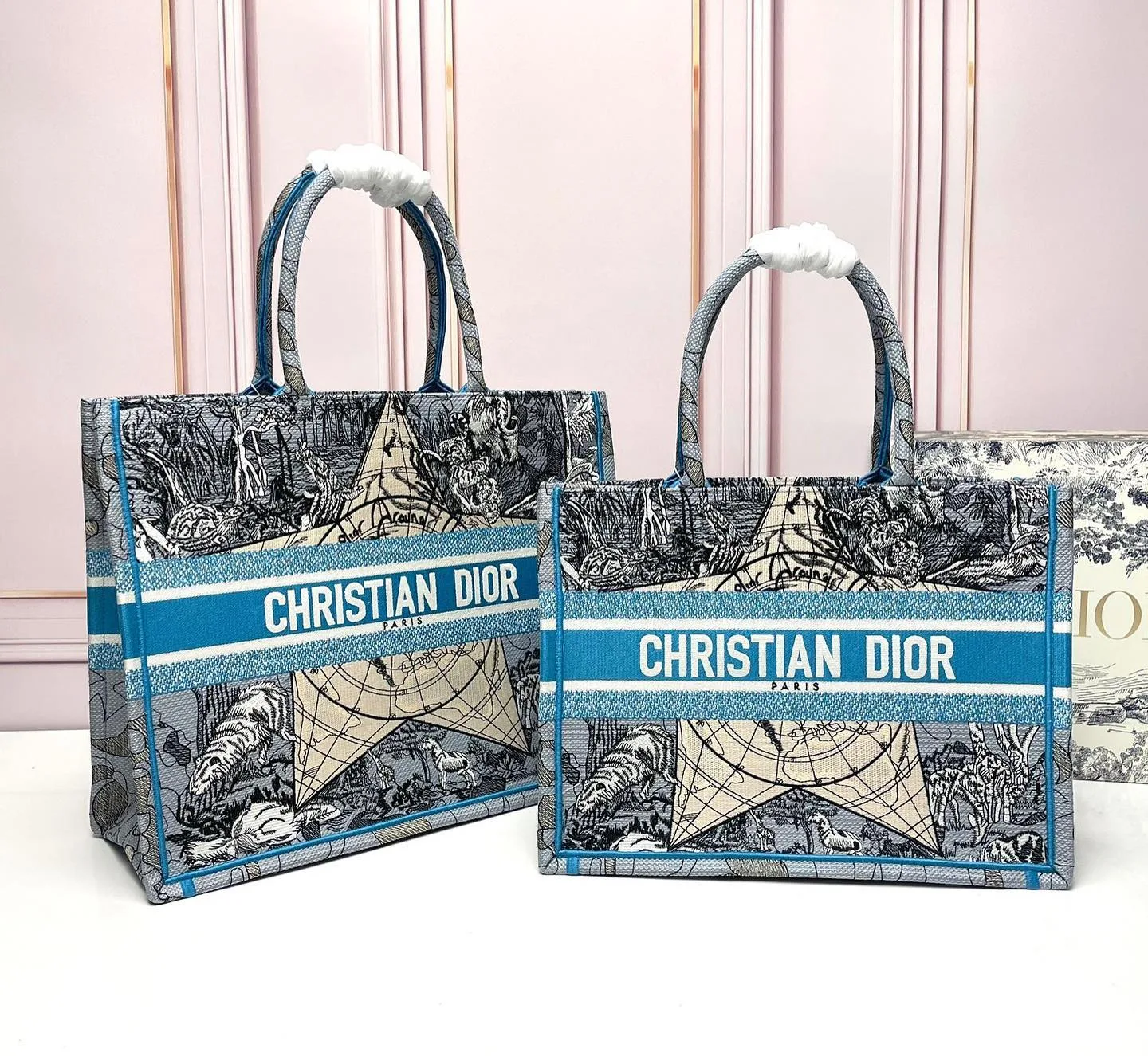 Dior Book Tote photo 5