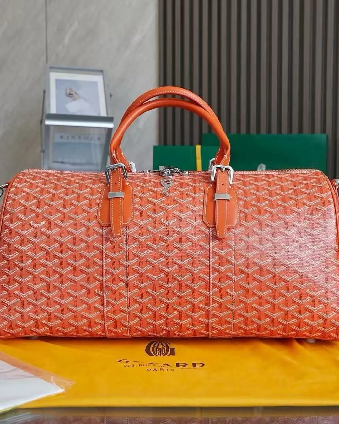 Goyard Travel Bag photo 4