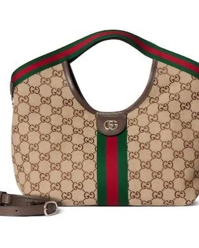 Gucci Linea Web Hobo