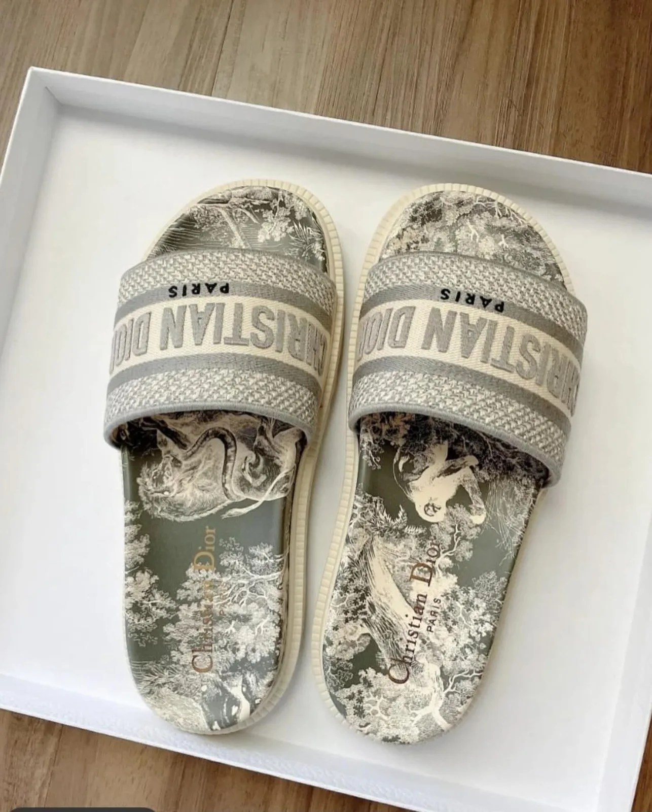 Dior Slide Sandal
