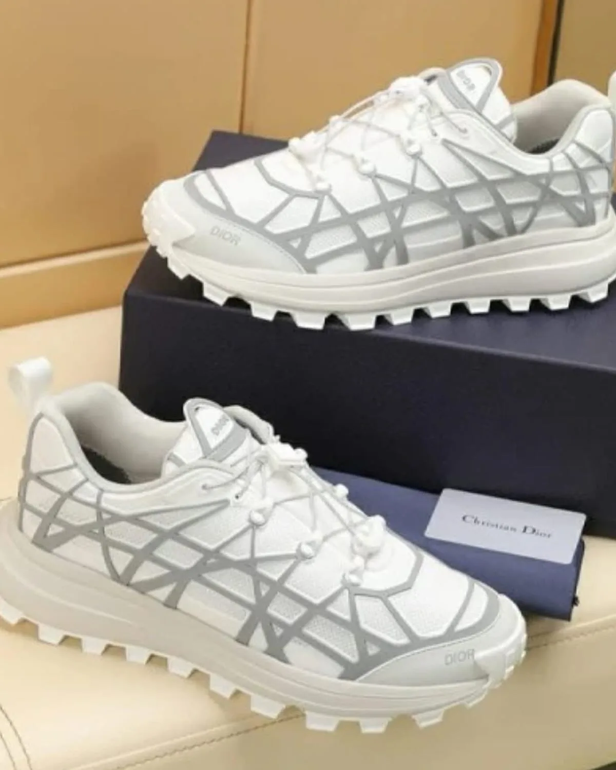 Dior Diorizon photo 2